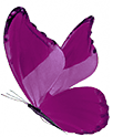 OnCourse Purple Butterfly graphic